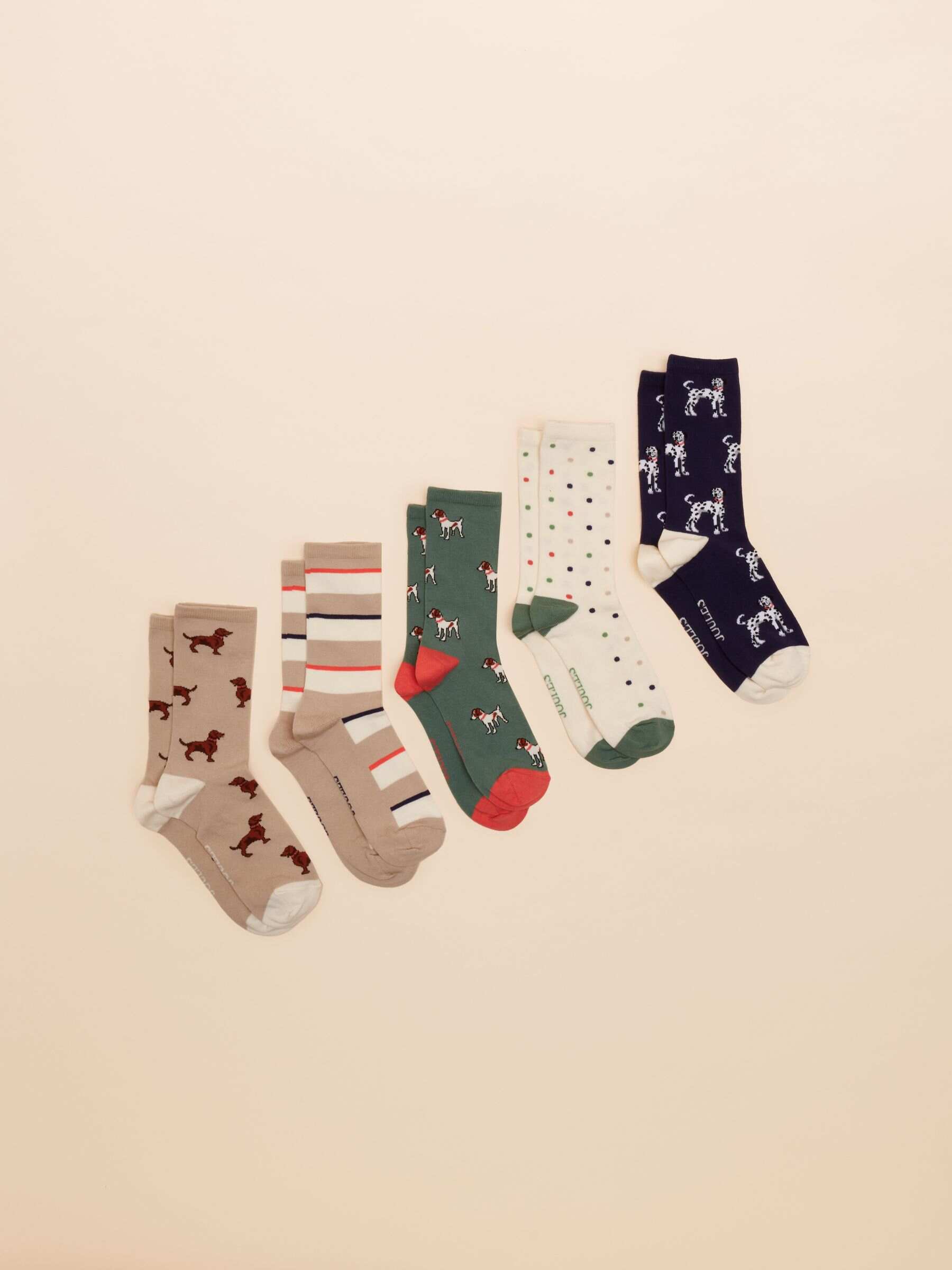 Women's Everyday Navy Blue Dog Print 5 Pack Socks