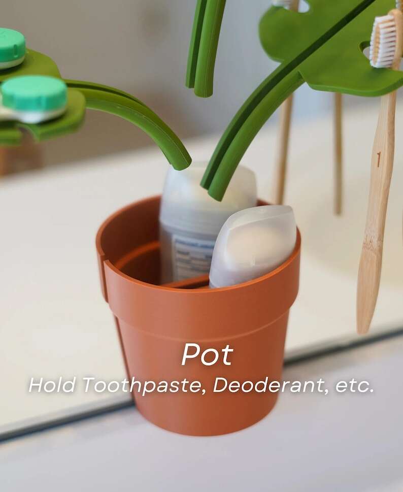 Mirror Monstera Organizer