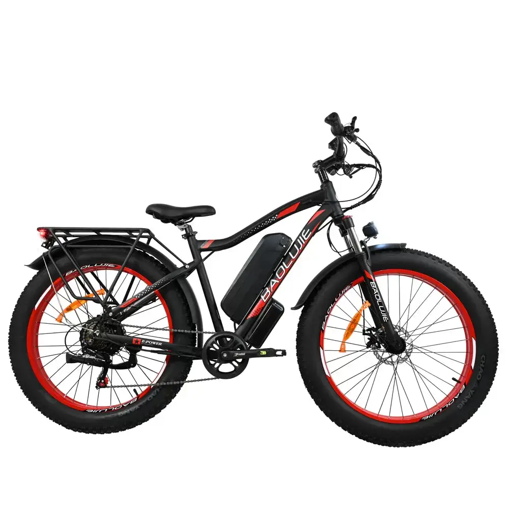 E-bike DP2619 Spoke Tire Type 48V 13AH 750W Performance Motor