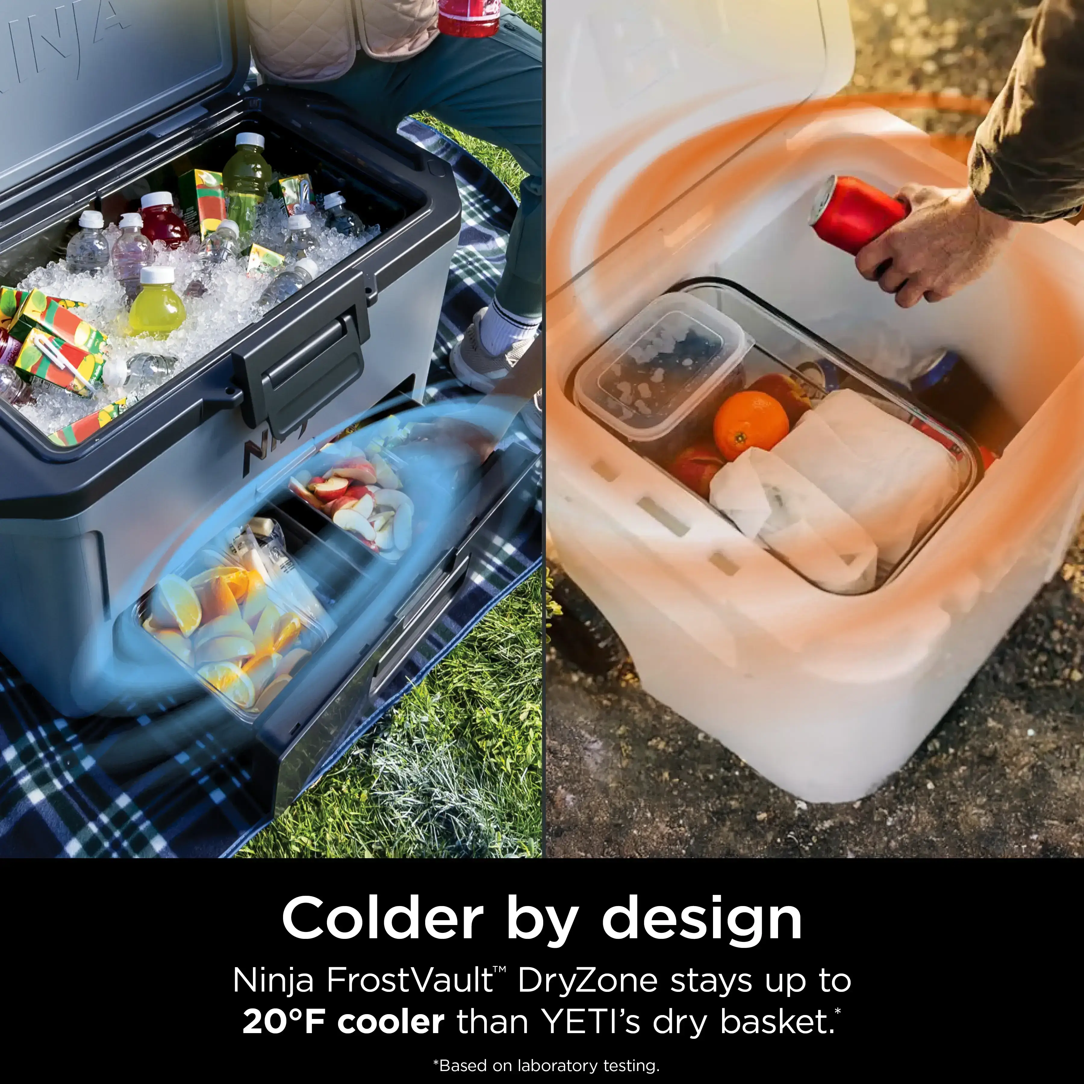 50qt Hard Cooler with Cold Dry Zone - FB151