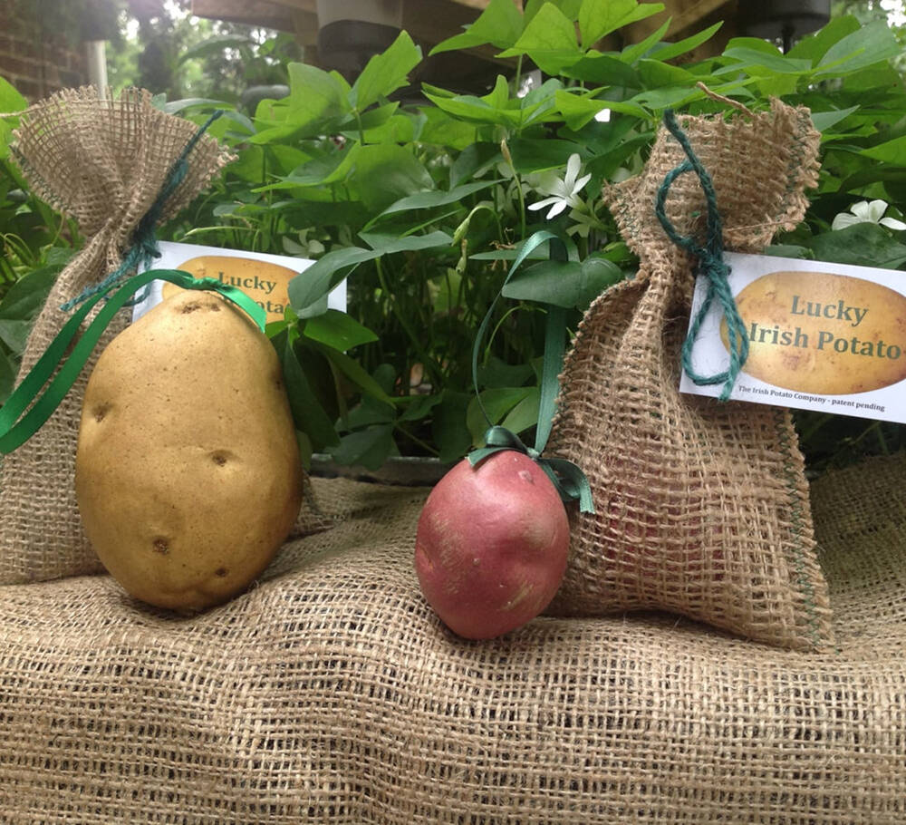 Irish ornament, looks like a real potato. Very cute!