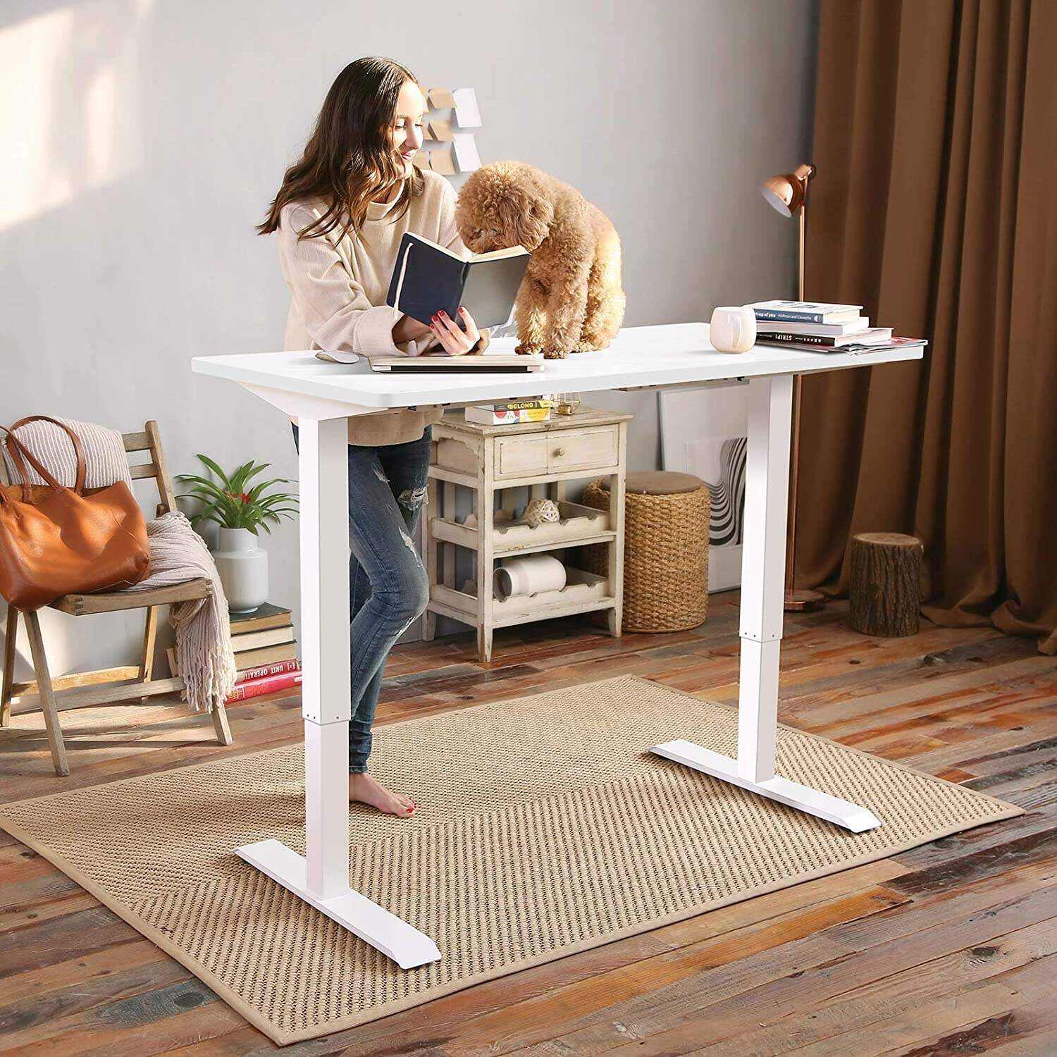 2024 New Electric Lift Computer Desk