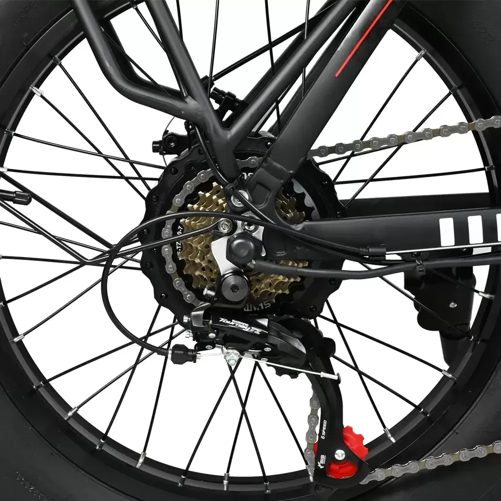 E-BIKE DZ2002 48V 13Ah 500W Performance Motor