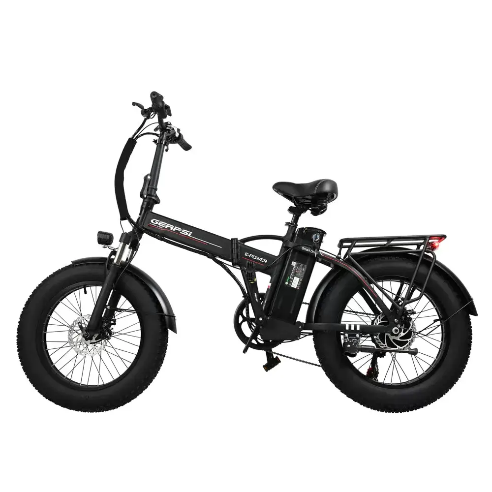 E-BIKE DZ2002 48V 13Ah 500W Performance Motor