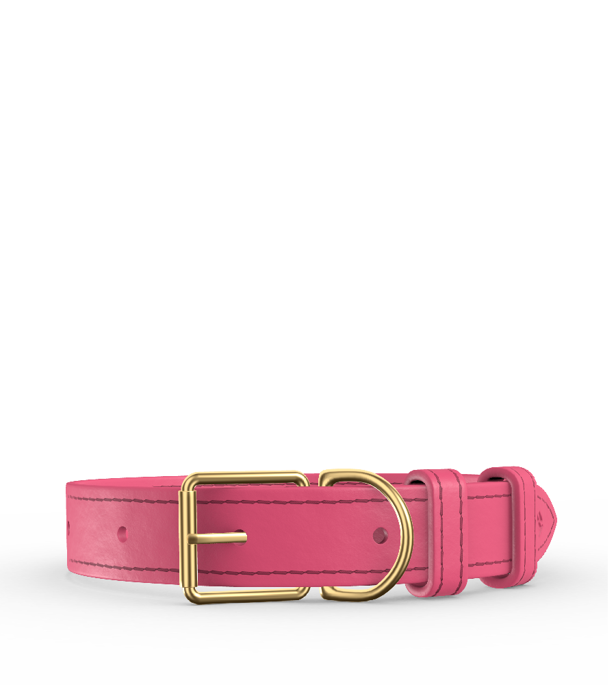 Clef Dog Collar