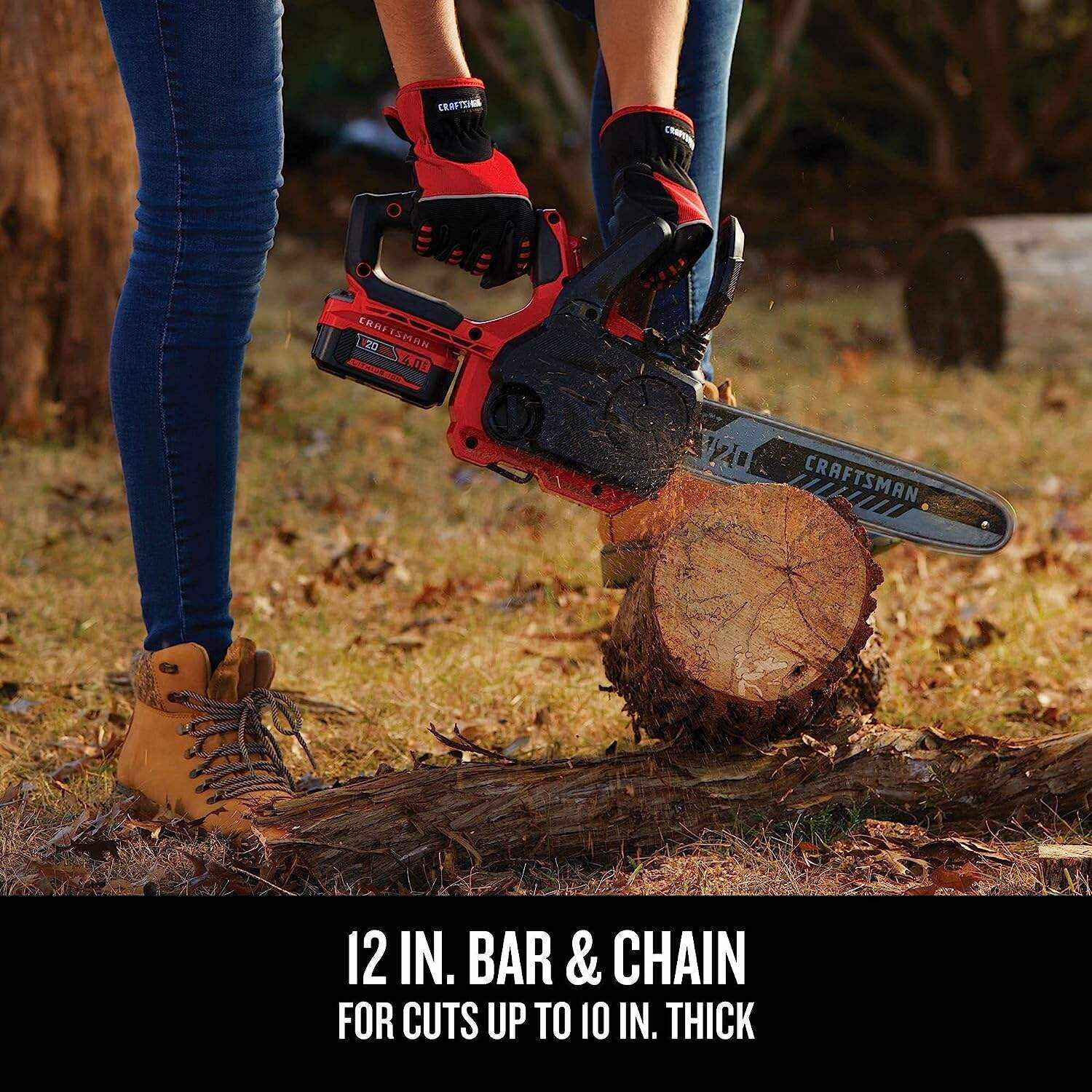 CRAFTSMAN V20* Cordless Chainsaw, 12-Inch (CMCCS620M1)