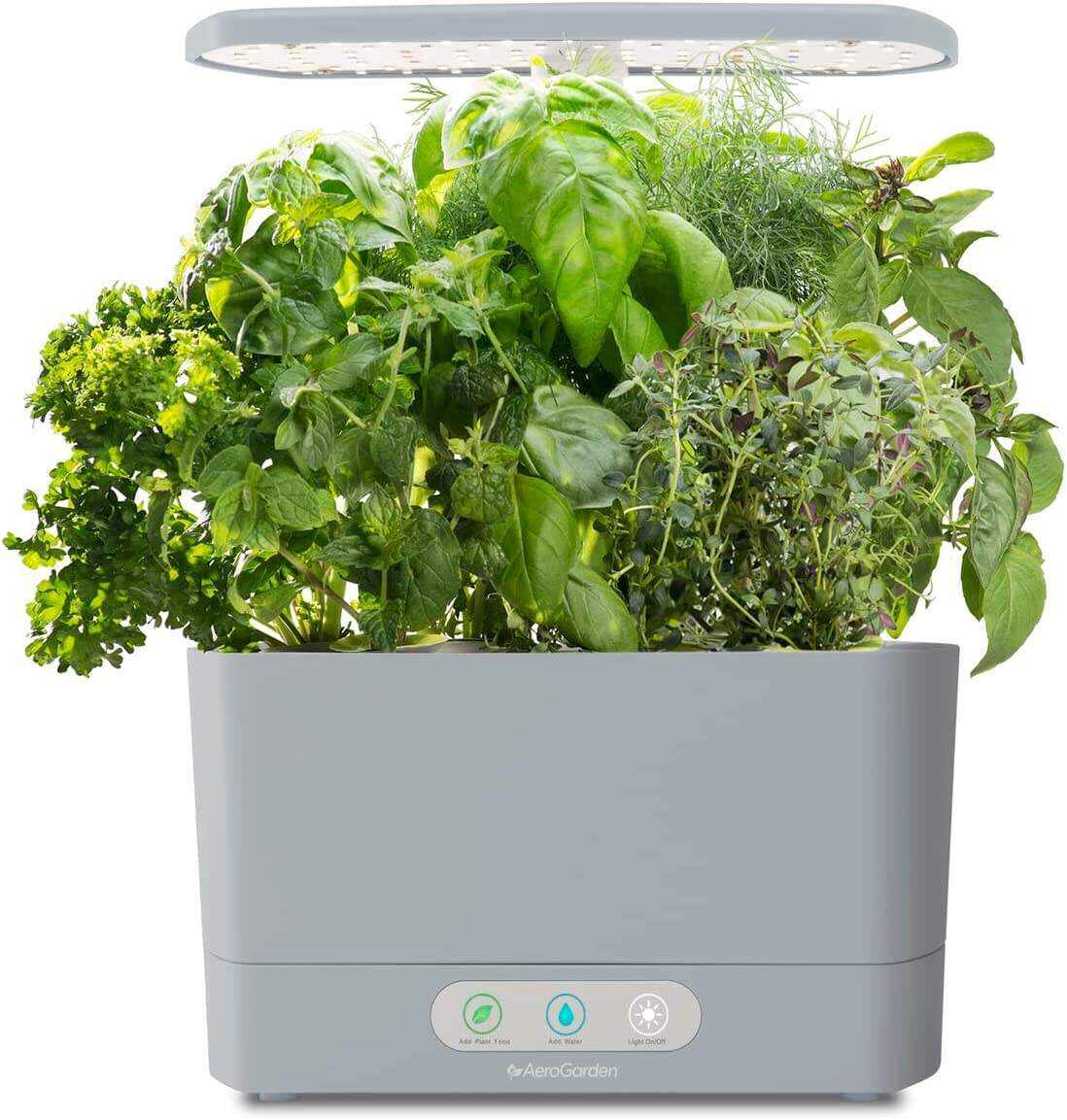 Harvest XL with Gourmet Herbs Seed Pod Kit - Indoor Garden with LED Grow Light