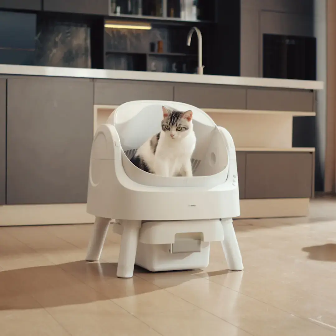 PetPivot AutoScooper 11 Self-Cleaning Cat Litter Box