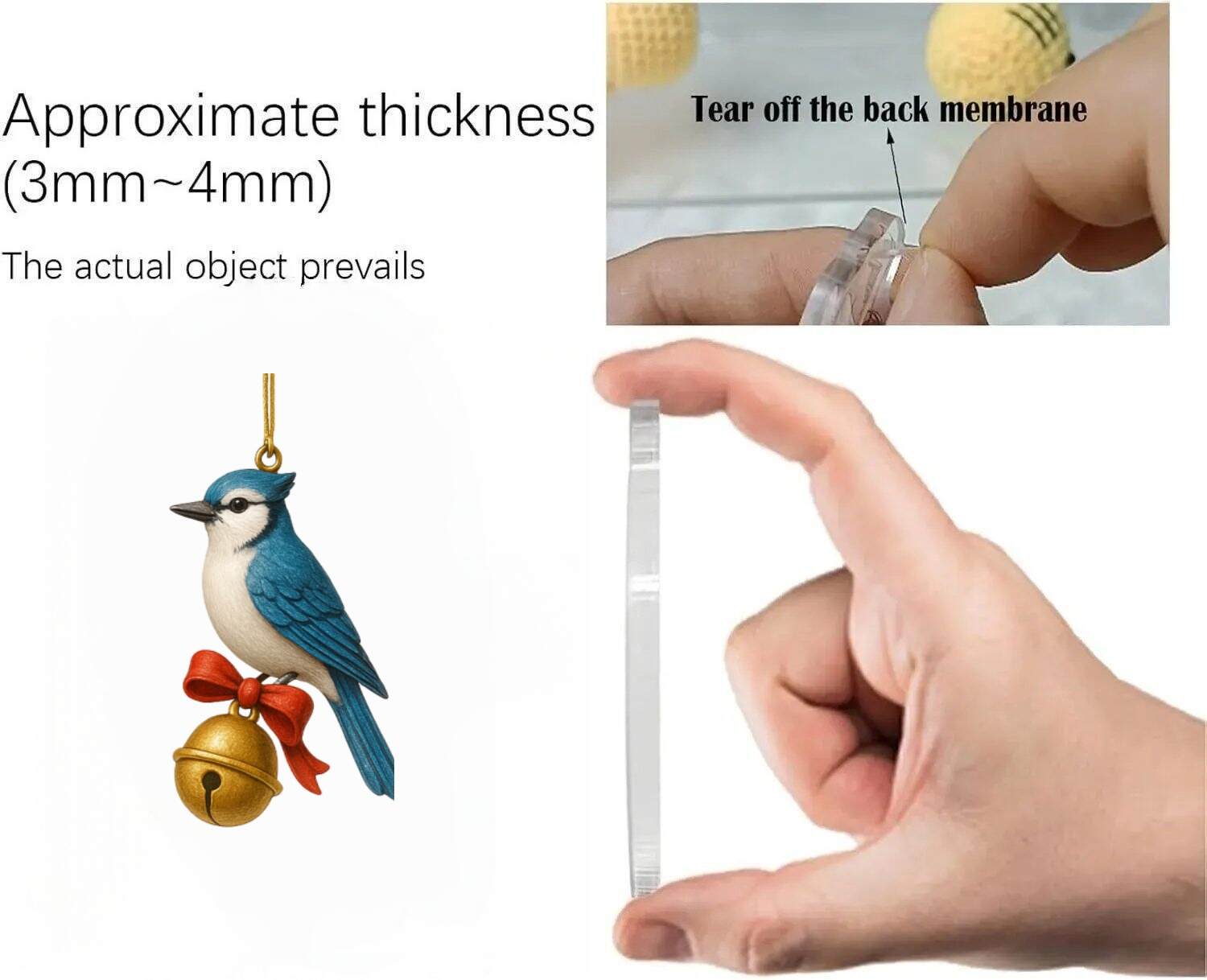 2025 American Birds Advent Calendar