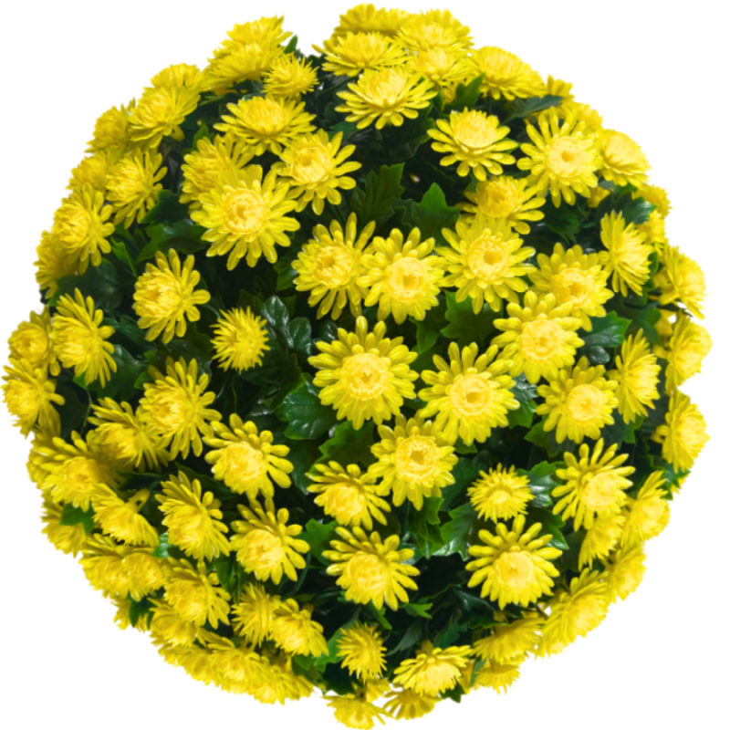 🏆Flash Sale⚡UV Mum Topiary Ball