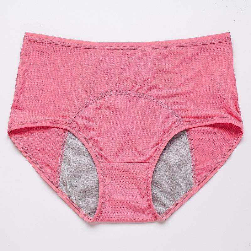 🎉🔥LAST DAY 49% OFF🔥--2023 Leak Proof Protective Panties