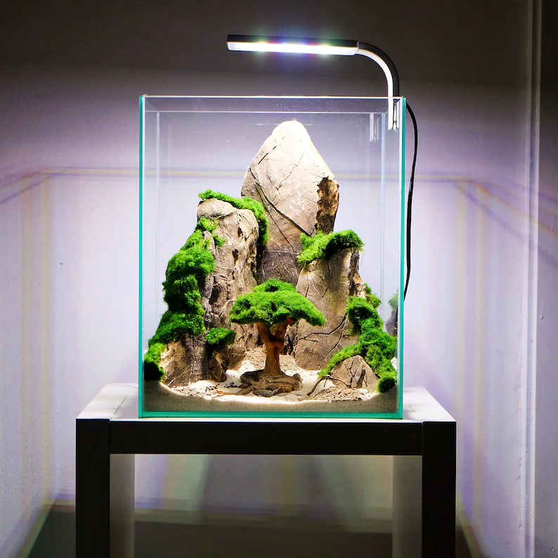 Ancient Stone glued aquascape for nano aquarium