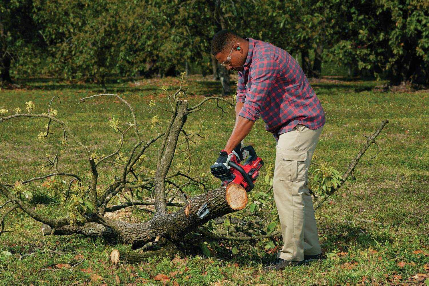 CRAFTSMAN V20* Cordless Chainsaw, 12-Inch (CMCCS620M1)