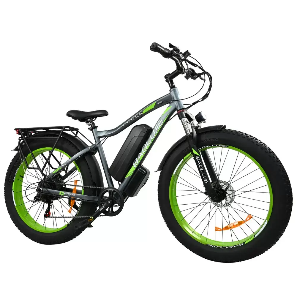 E-bike DP2619 Spoke Tire Type 48V 13AH 750W Performance Motor