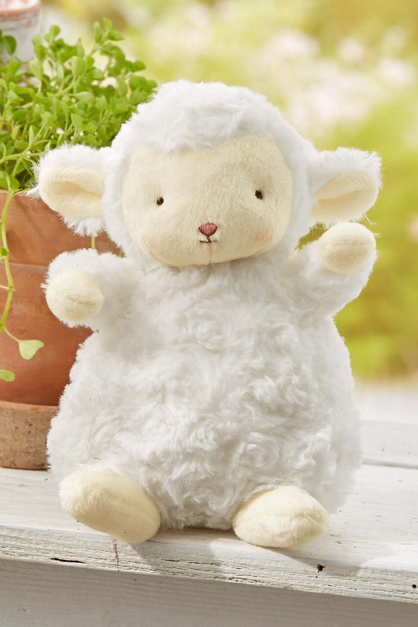 Kiddo the Lamb