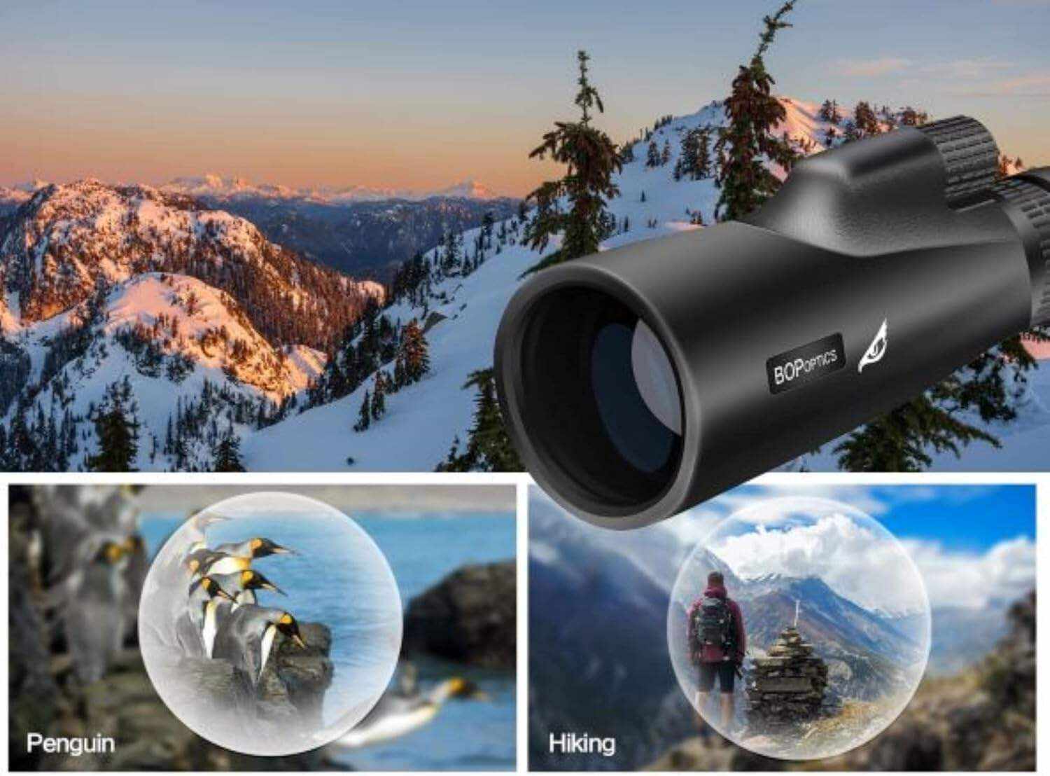 Birds of Prey Optics Falcon 8-22X50 HD Monoculars for Adults High Powered for Camping Accessories - Zoom Monocular Telescope, Telescopes for Adults Astronomy with Carrying Bag - Hunting Gear