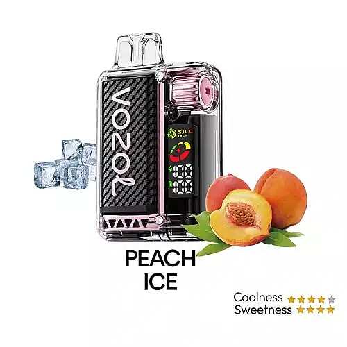 Vozol Vista 20K Puffs Disposable Vape | Dual Mesh with LED Digital Screen