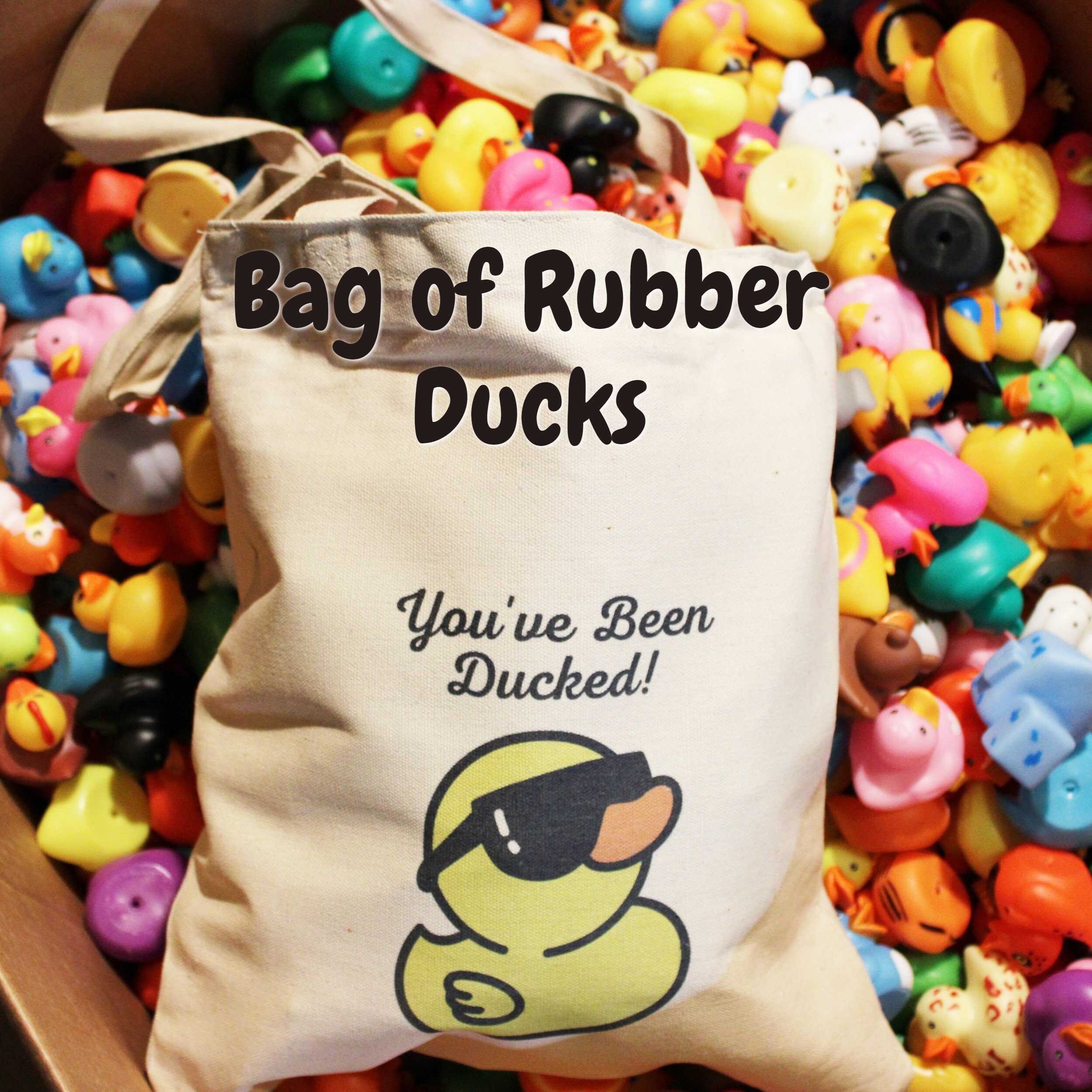 Bag of Ducks | 