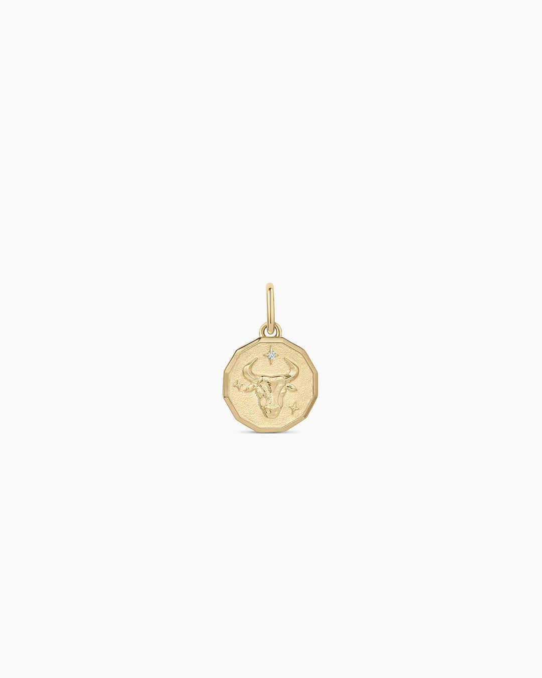 Diamond Zodiac Coin Charm