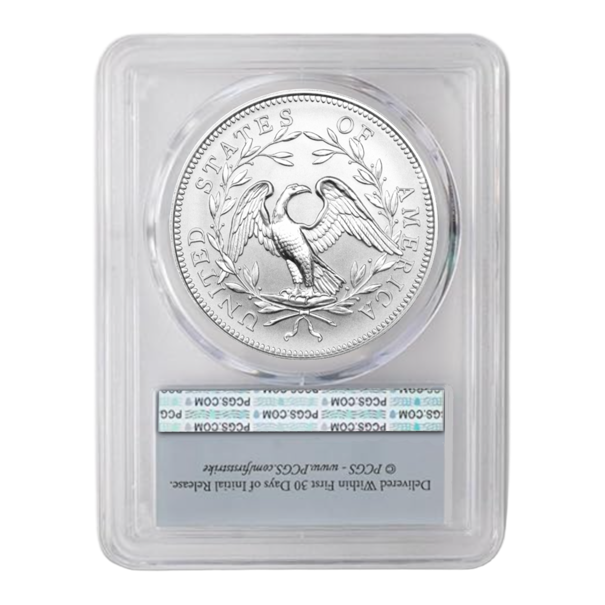 1 Oz 2025 Liberty Flowing Hair Dollar Silver –  Limited Release • Limited-Time Factory Price
