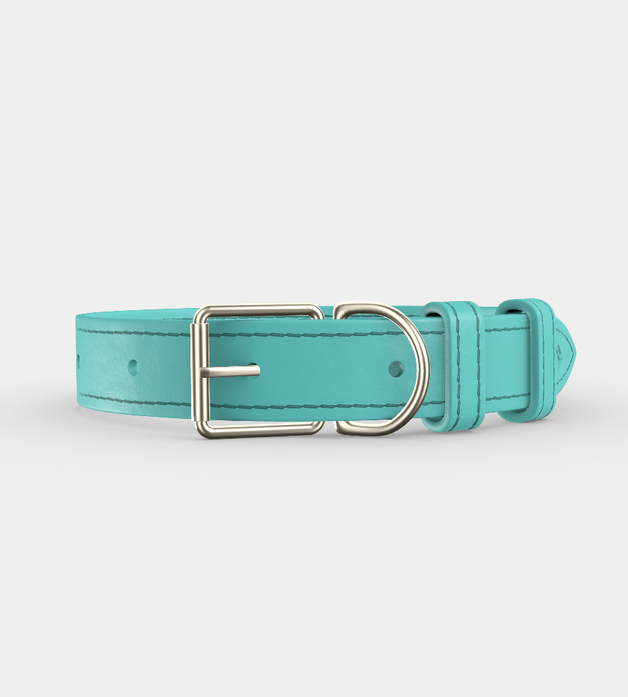 Custom Clef Dog Collar