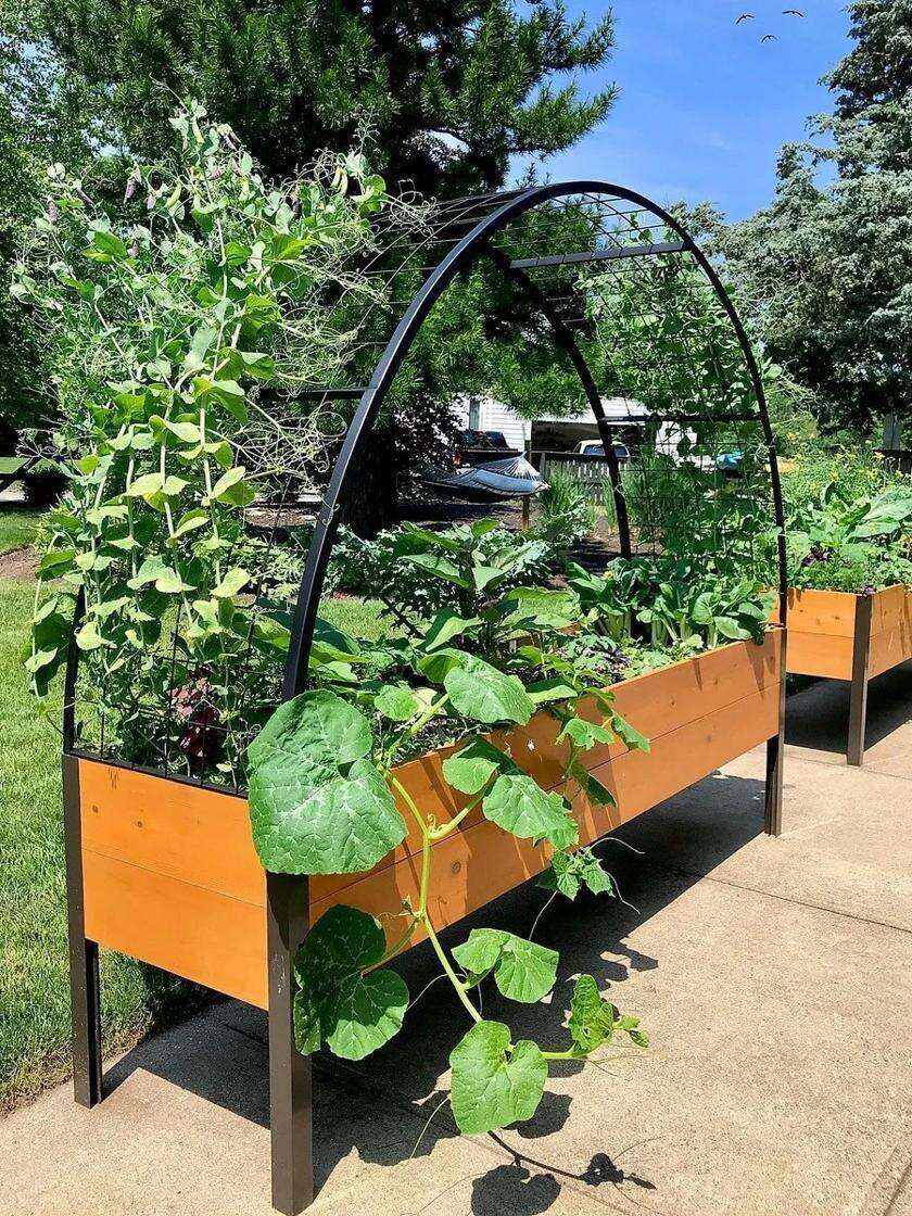🎍Heavy Duty Standing Garden Planters for ❤️(2' x 8' )