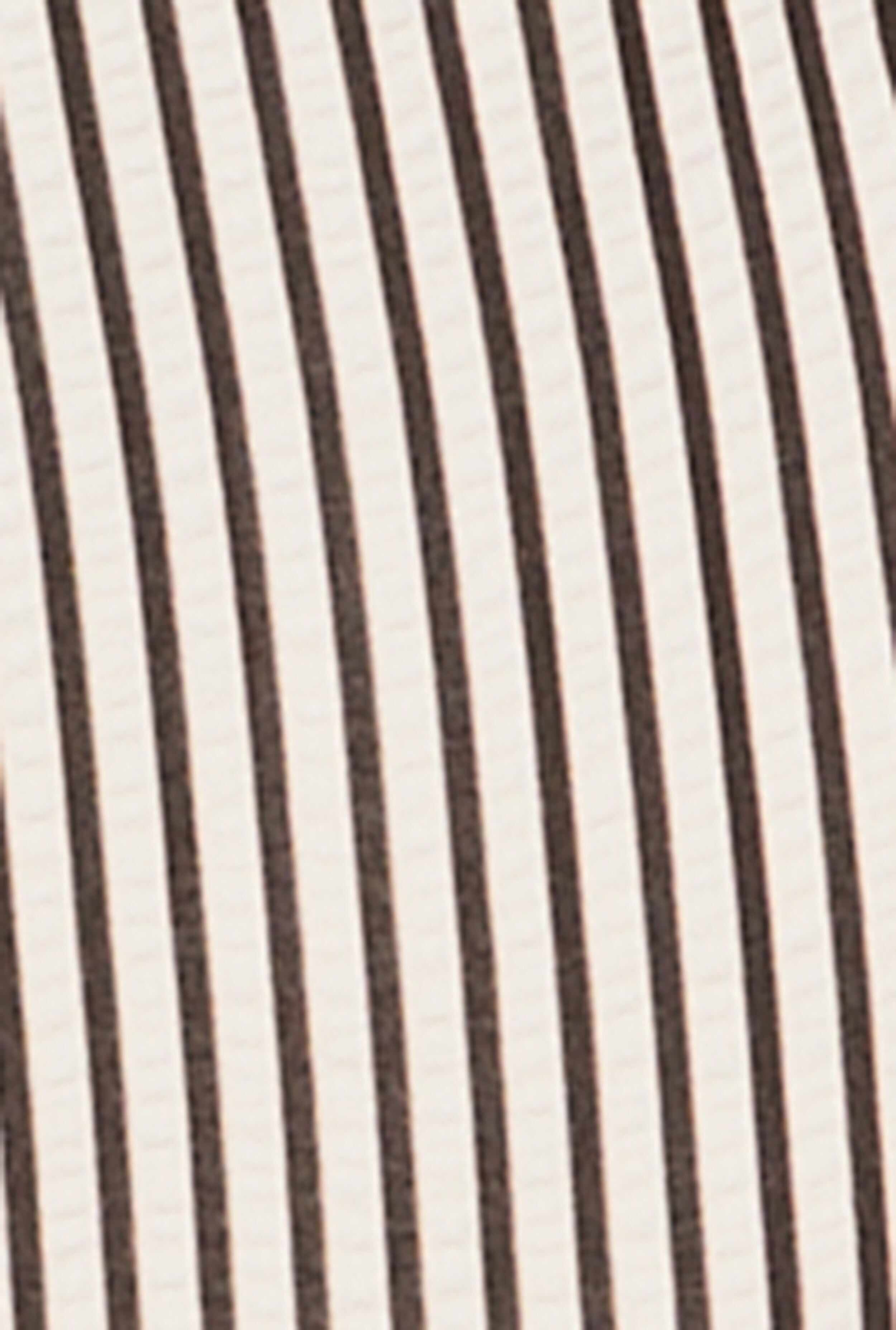 Plus Size High Waisted Striped Shorts