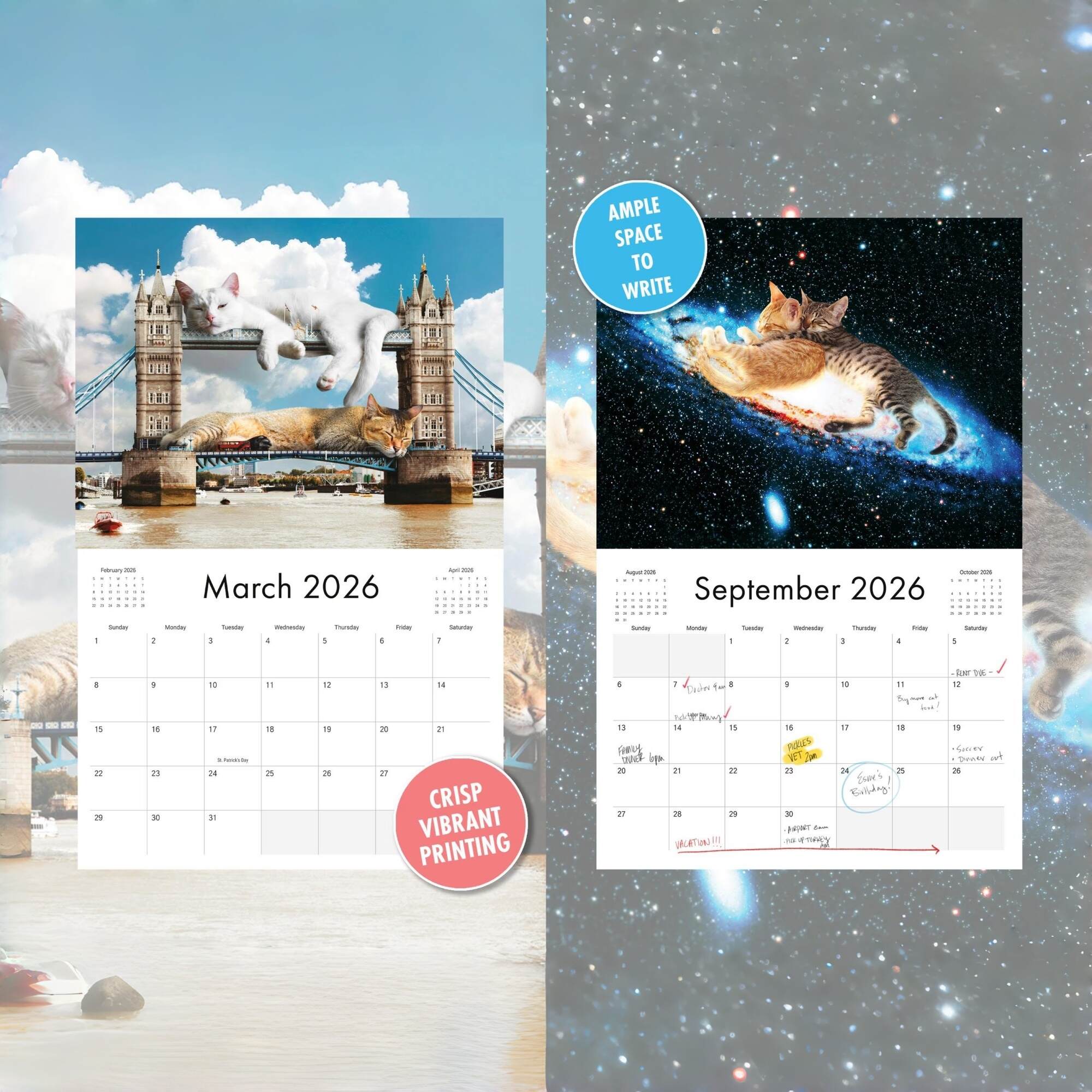 🐾 Lazy Cats 2026 Calendar – The World’s Biggest, Sleepiest Cats Are Back!