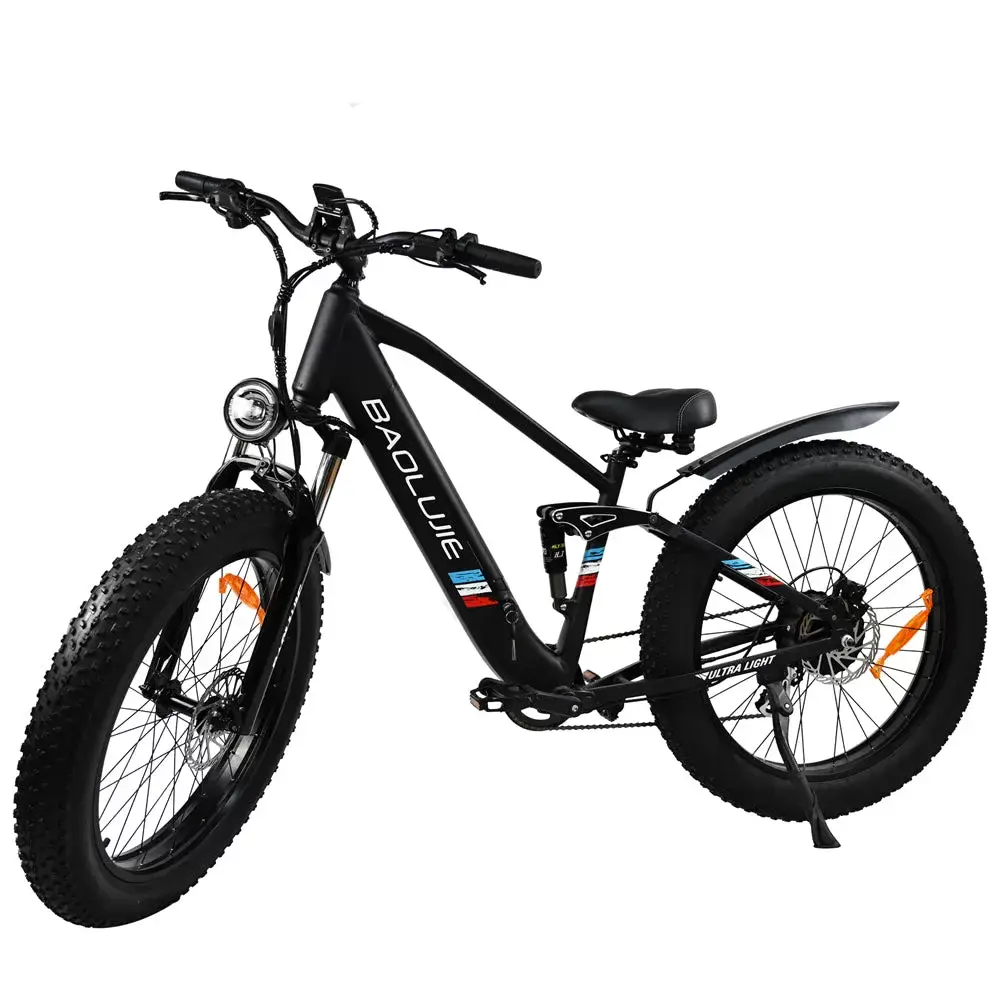 E-bike DP2615 Eel Shock Absorbers 48V12AH 26