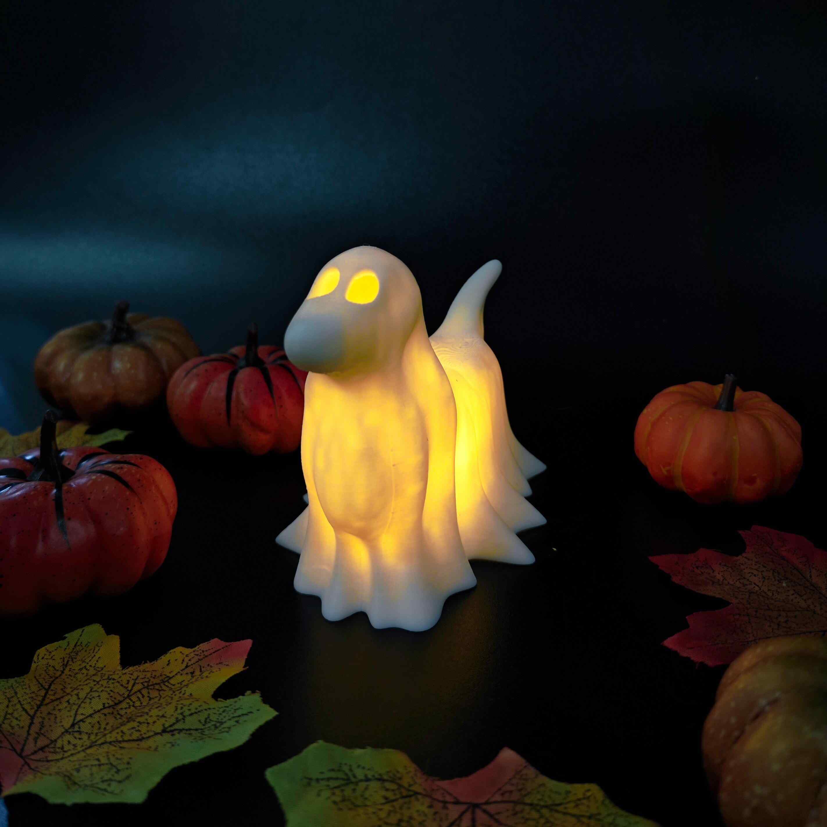 👻Glowing Ghost Pet