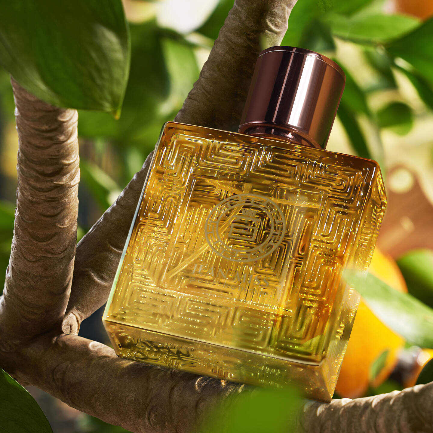 50ml 