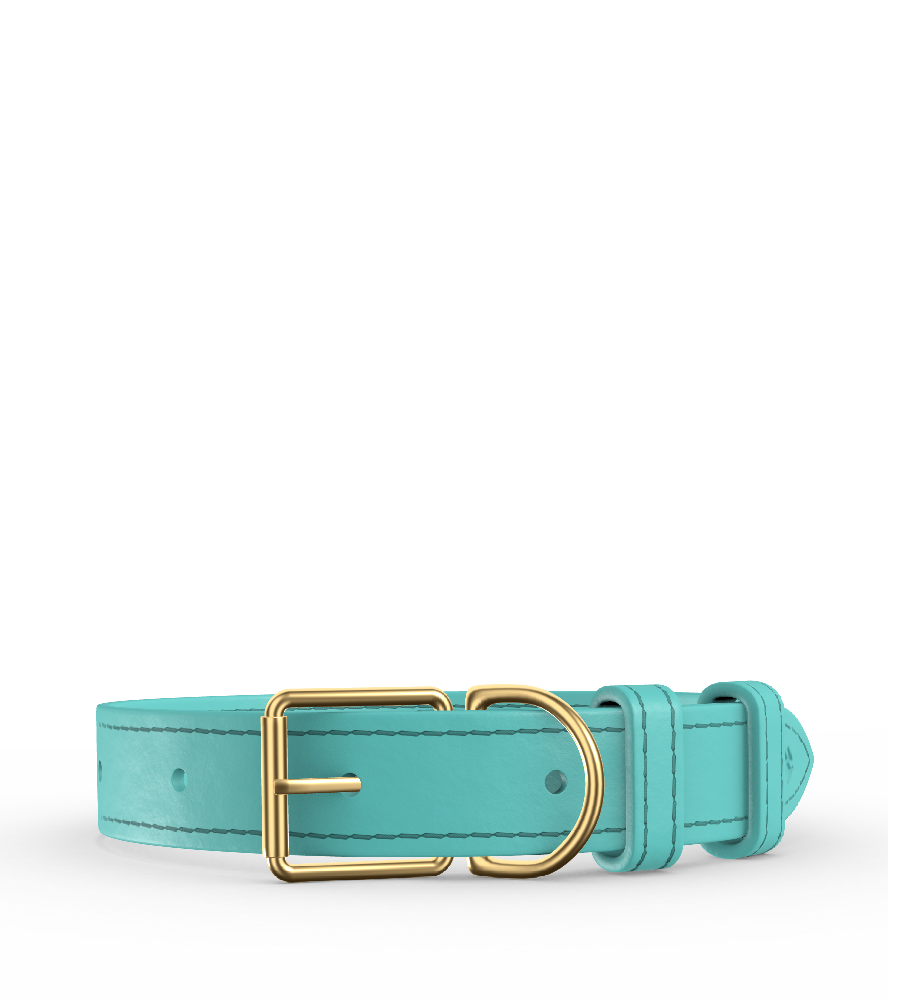 Clef Dog Collar