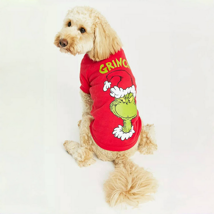 Dear Santa I can Explain! Grinch Christmas Print Family Pajama Set