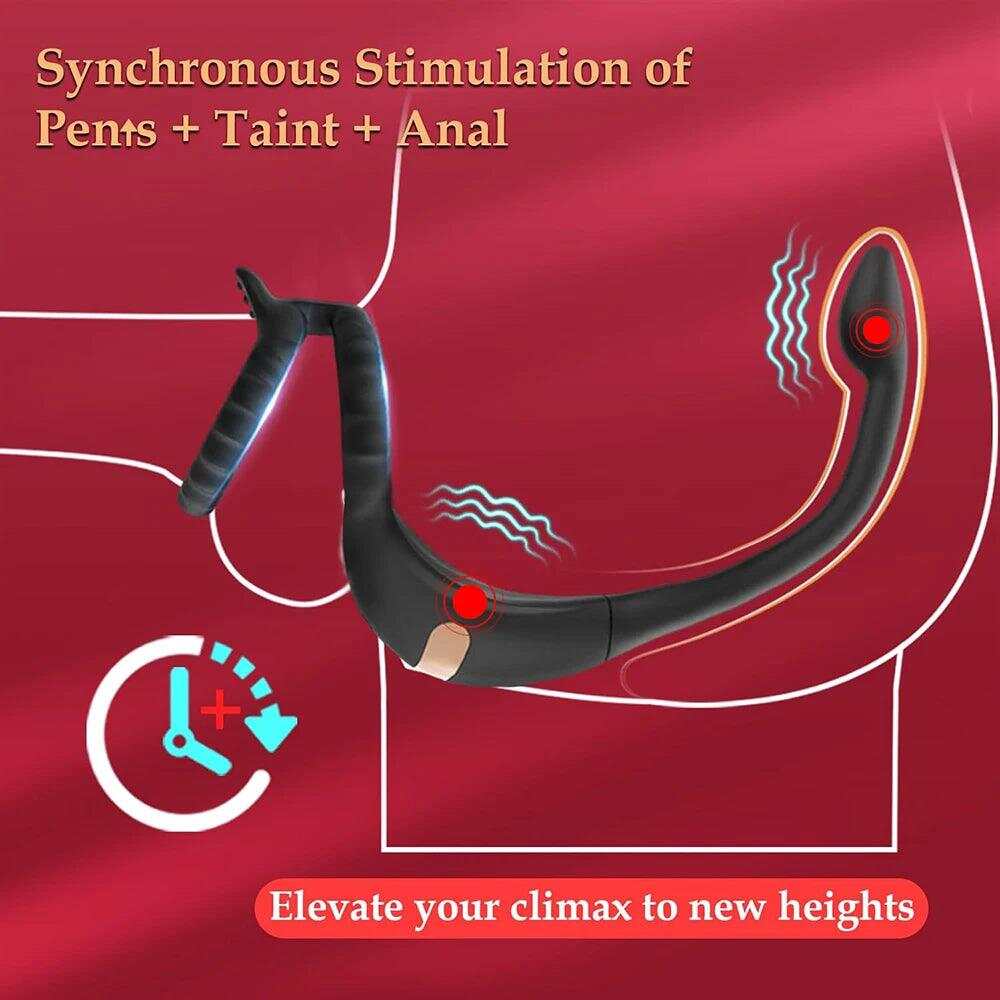 Vibrating Cock Ring & Taint Stimulator – Remote Control Anal Plug & Prostate Massager