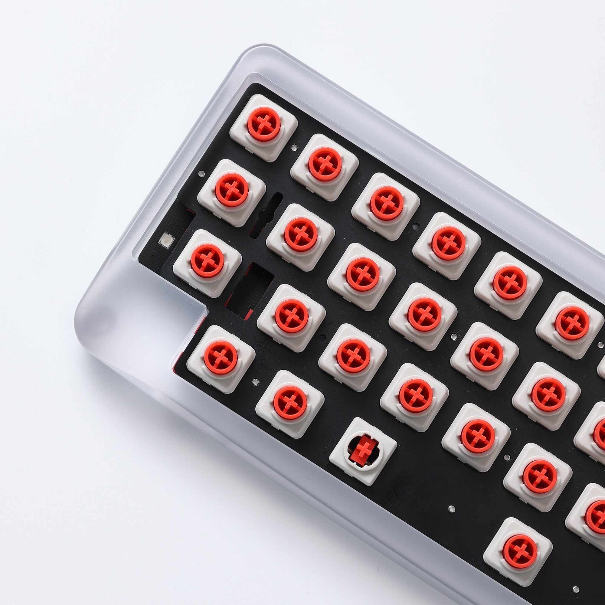 Agar Mini x DynaCap EC Kit