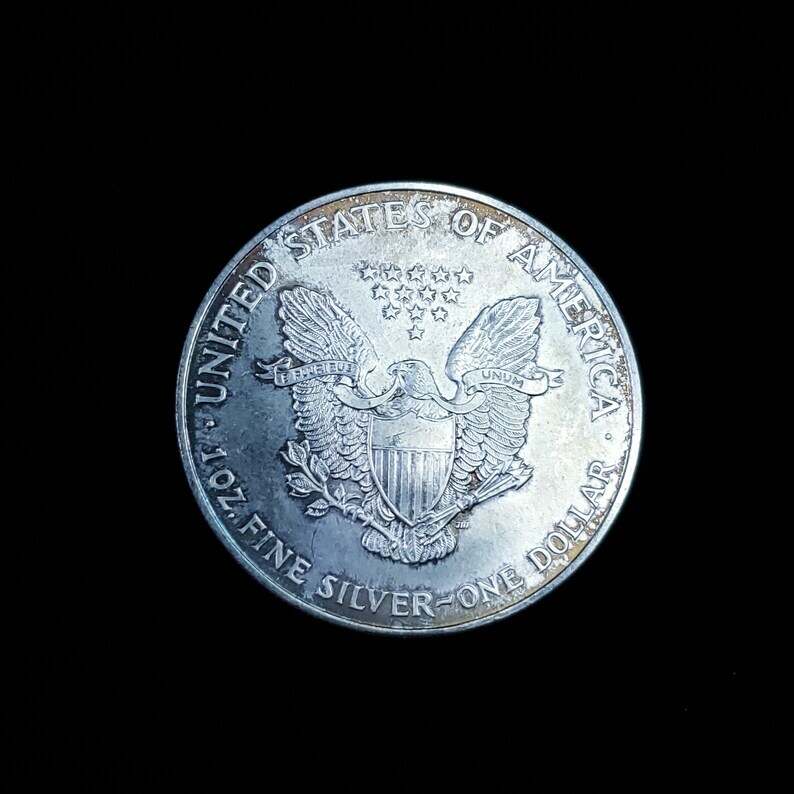 1995 Silver Eagle - Key date - Toned - Regular 60  lot# 1220