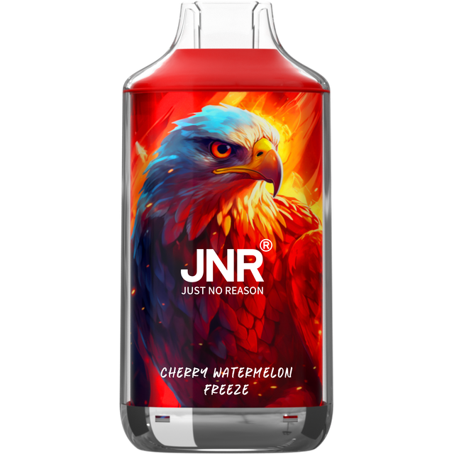 JNR Falcon 16000 Puffs -Disposable Vape