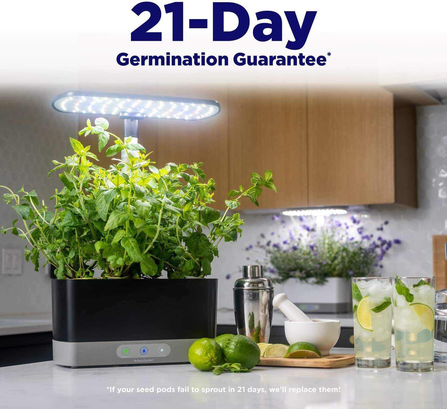 Harvest XL with Gourmet Herbs Seed Pod Kit - Indoor Garden with LED Grow Light