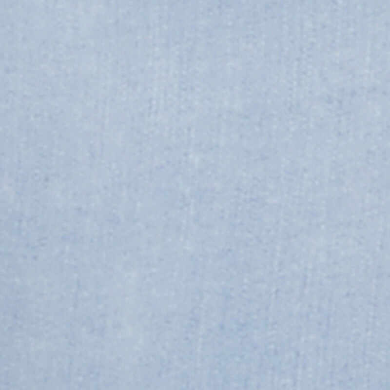 Plus Size WAX Basic Denim Shorts with Stretch