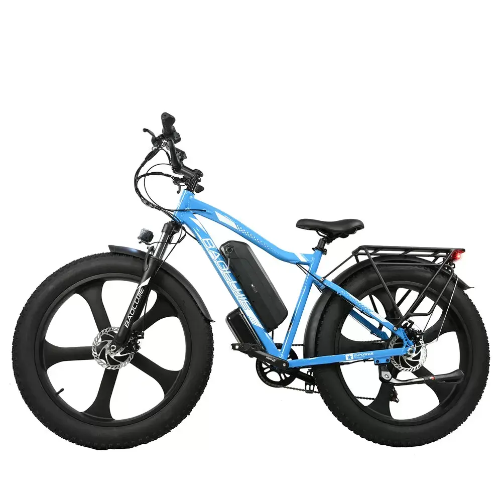 E-bike DP2620 All-in-one Tire 48V 13AH 750W Performance Motor