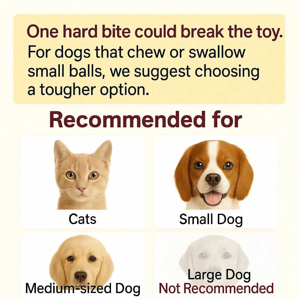 Interactive Pet Rolling Ball Toy with 2 Replaceable Tails, Automatic Dog & Cat Teaser Toy