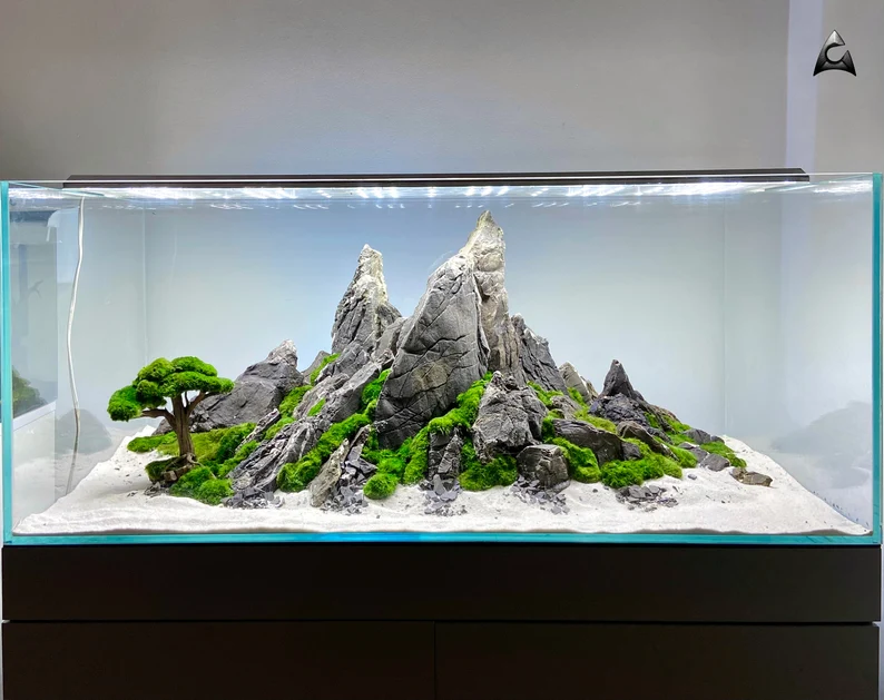 Ancient Stone glued aquascape for nano aquarium