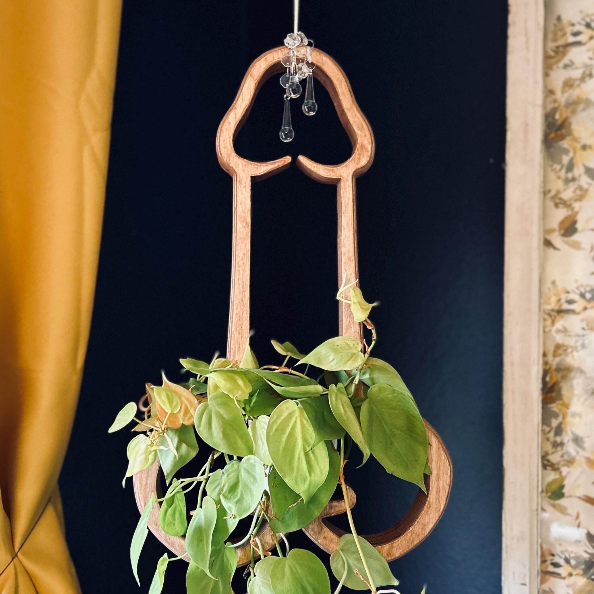 Funny Plant Hanger