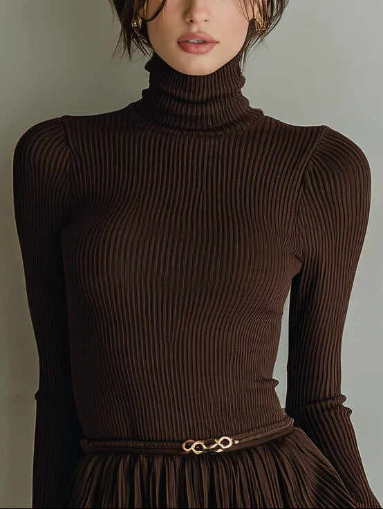 Stylish and elegant brown textured bodycon mini dress