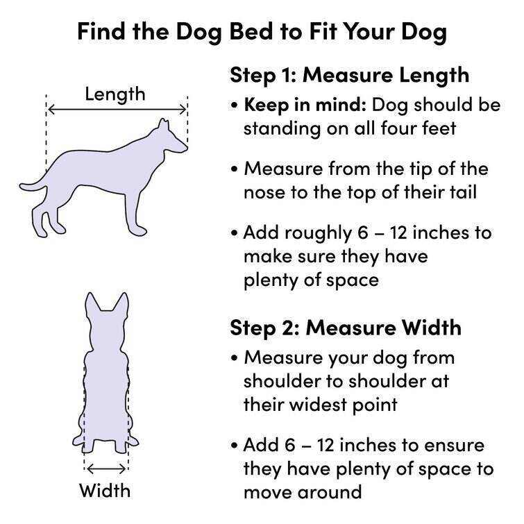 The Casper Dog Bed