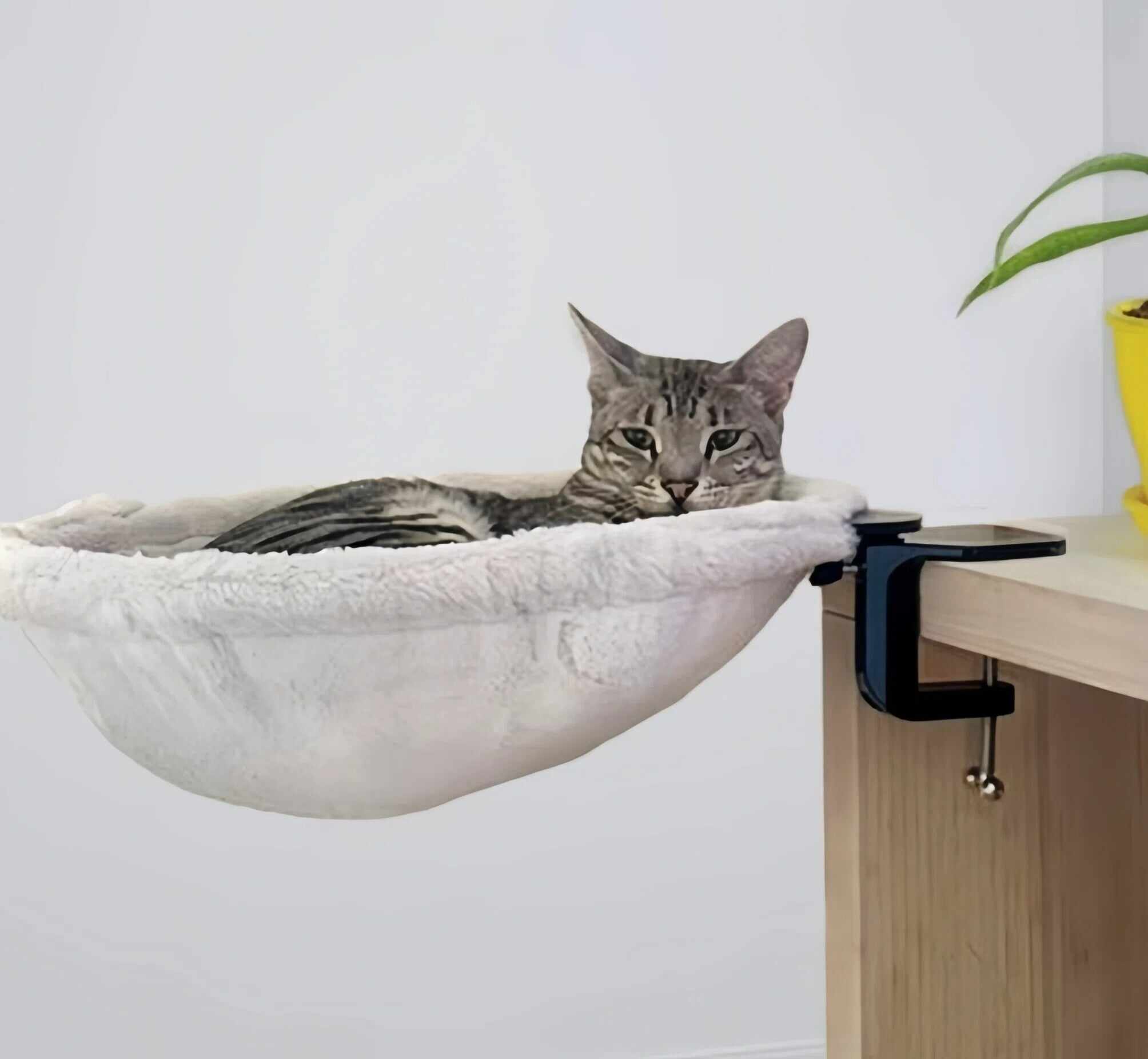 Foldable Desktop Cat Hammock – Suspended Pet Bed / Cat Perch Stand--PurrNest Cozy