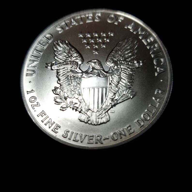 1991  American Silver Eagle BU  -  1 Oz .999 Cool toning on the rim-     Lot# 816