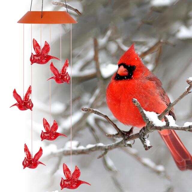 Solar Cardinal Red Bird Wind Chime