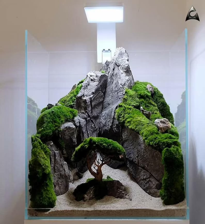 Ancient Stone glued aquascape for nano aquarium