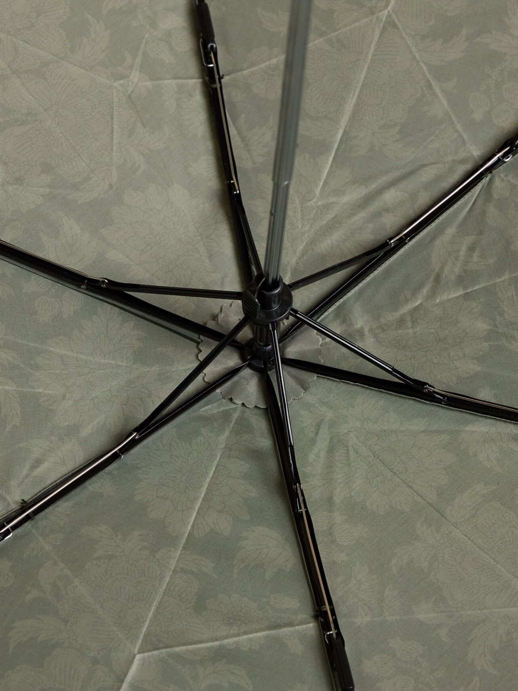 Rayne Green Printed Umbrella
